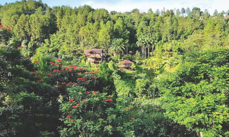 Tempat Gathering di Pancawati Bogor