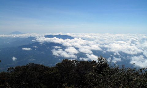 Highland Indonesia®