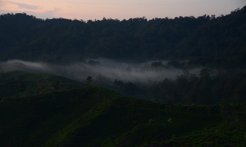 desa wisata malasari kabut