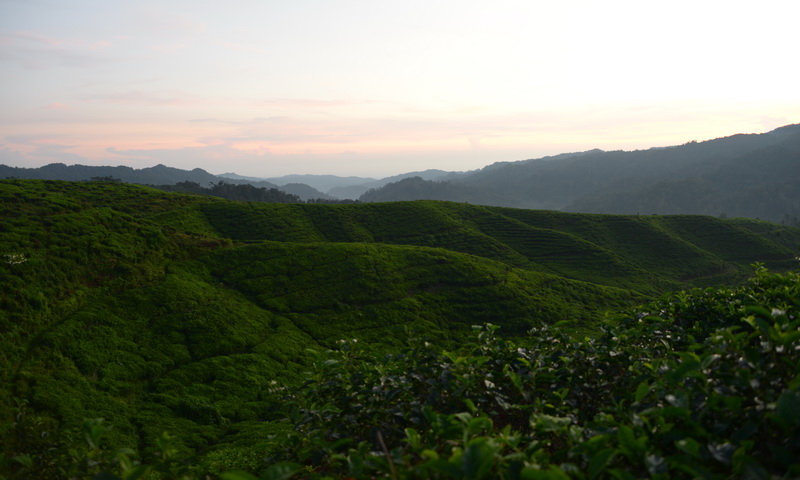 desa wisata malasari lansekap