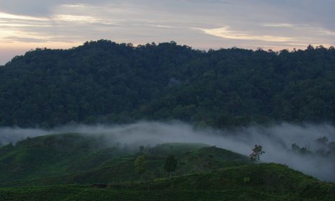 Highland Indonesia®