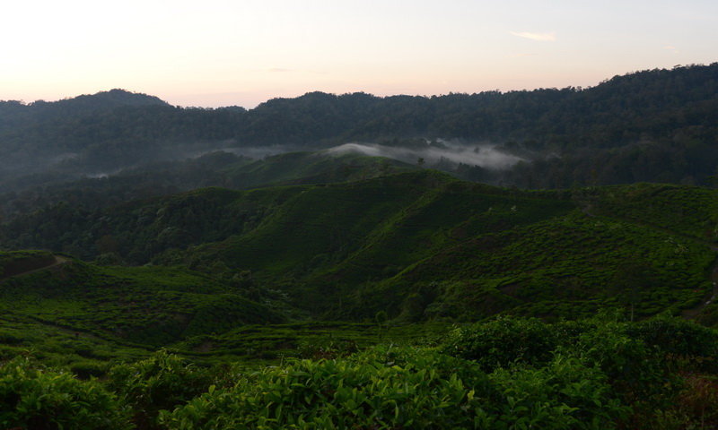 desa wisata malasari nirmala