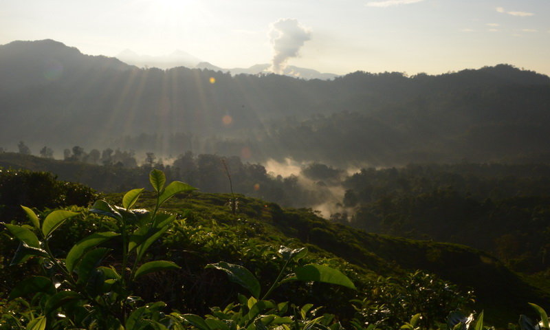 desa wisata malasari sinar