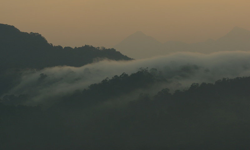 hutan desa wisata malasari kabut