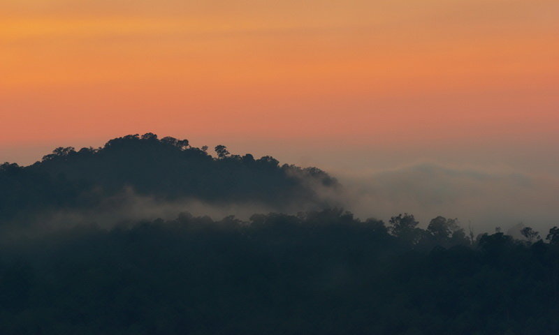 hutan desa wisata malasari sunset