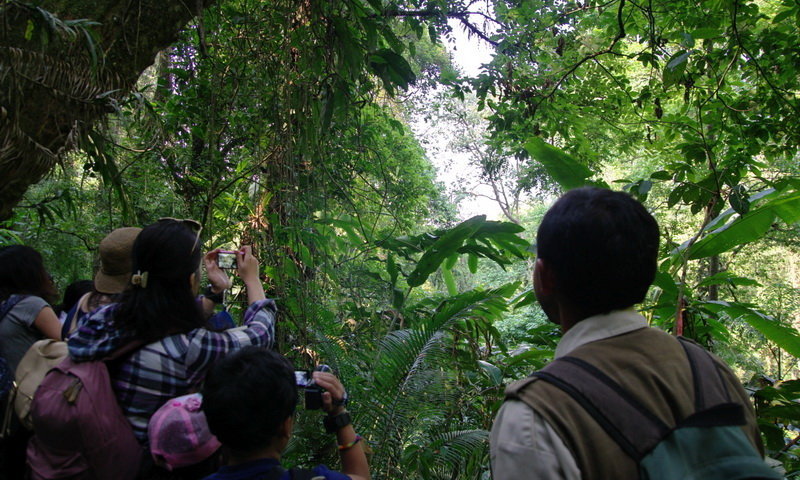 hutan desa wisata malasari wisata