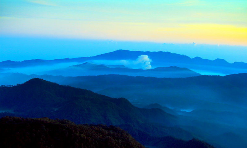 pendaki gunung taman nasional semeru hutan