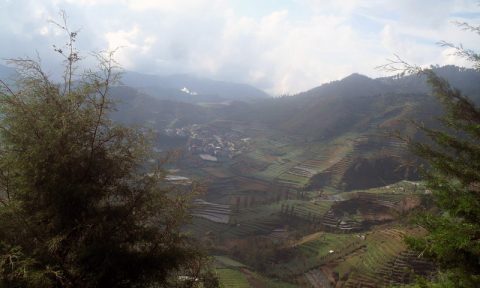 Highland Indonesia®