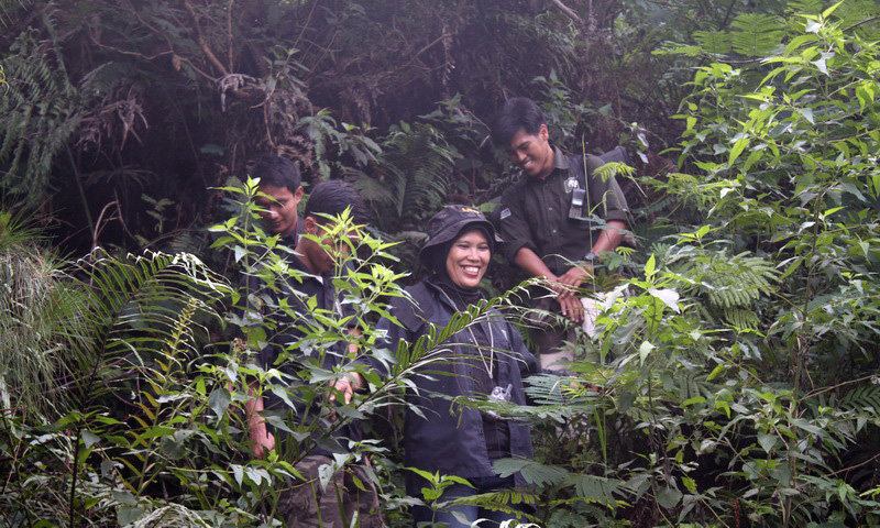 team highland indonesia di hutan