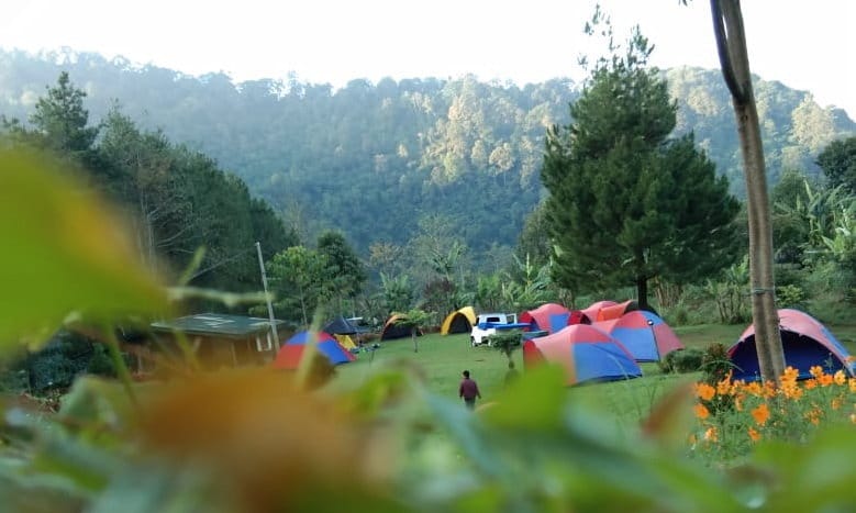 Tempat Camping di Puncak