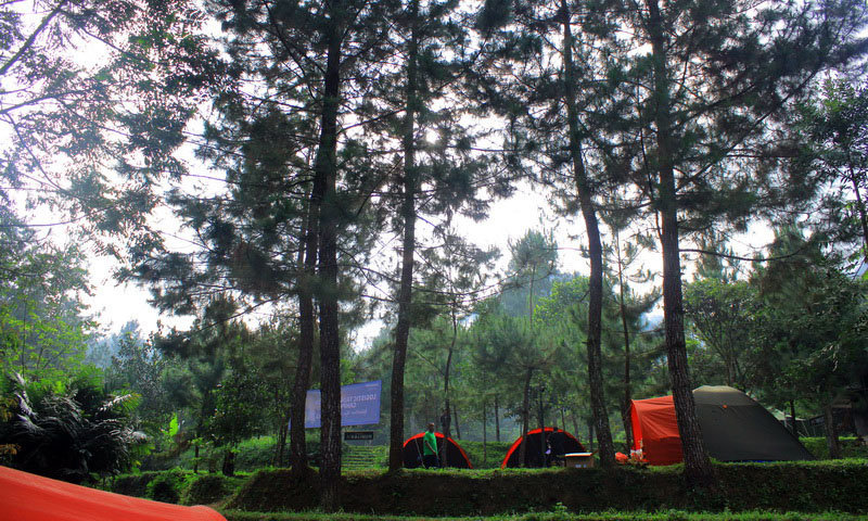 tempat camping di bogor puncak