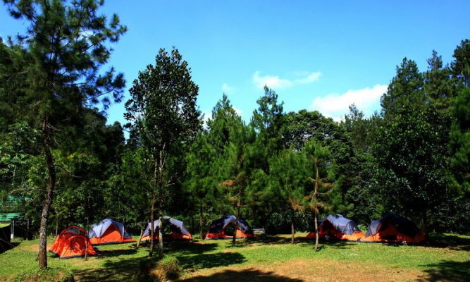 Tempat Camping Di Puncak Bogor Untuk Gathering Dan OutBound