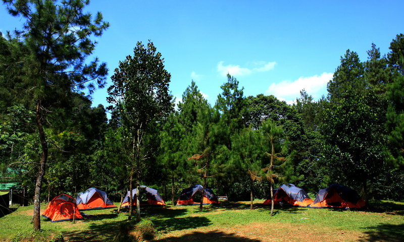 tempat camping di puncak bogor