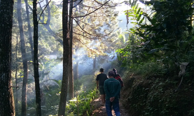 Tempat outbound Puncak gathering perusahaan treking