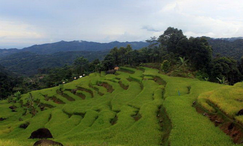 wisata Bogor punya pesona wisata Bali