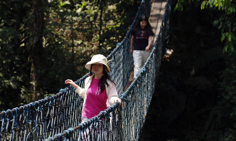 wisata canopy trail