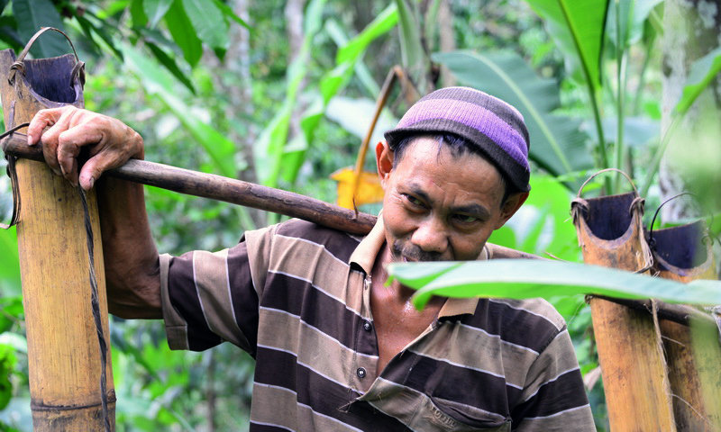 wisata halimun budaya di halimun aren