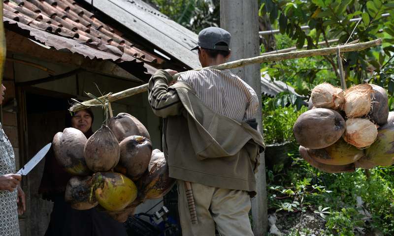 wisata halimun budaya di halimun kelapa